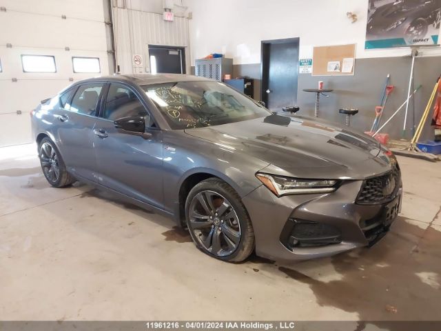 Auction sale of the 2022 Acura Tlx, vin: 19UUB6F52NA800531, lot number: 11961216