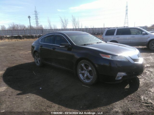 Auction sale of the 2011 Acura Tl, vin: 19UUA9F21BA800459, lot number: 11969260