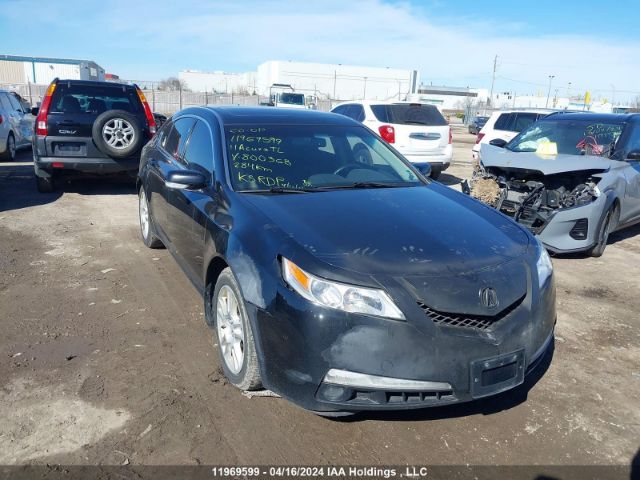 Auction sale of the 2011 Acura Tl, vin: 19UUA8F26BA800368, lot number: 11969599