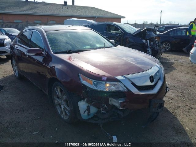 Auction sale of the 2010 Acura Tl, vin: 19UUA9F54AA801078, lot number: 11970027