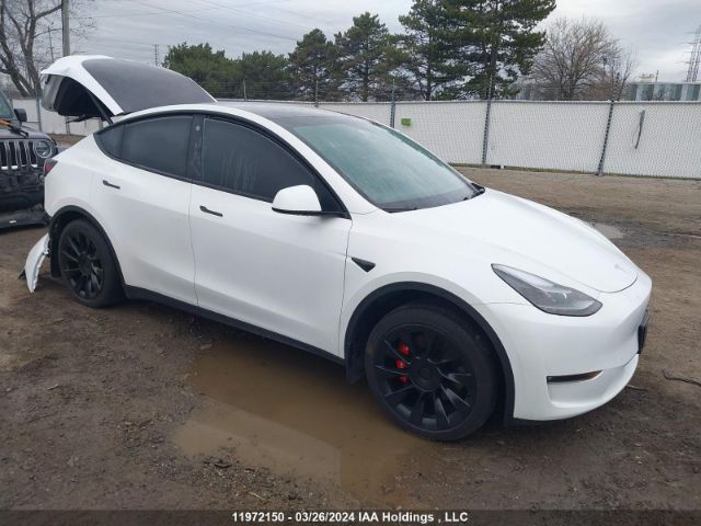 Продажа на аукционе авто 2023 Tesla Model Y, vin: 7SAYGDEE0PF780929, номер лота: 11972150