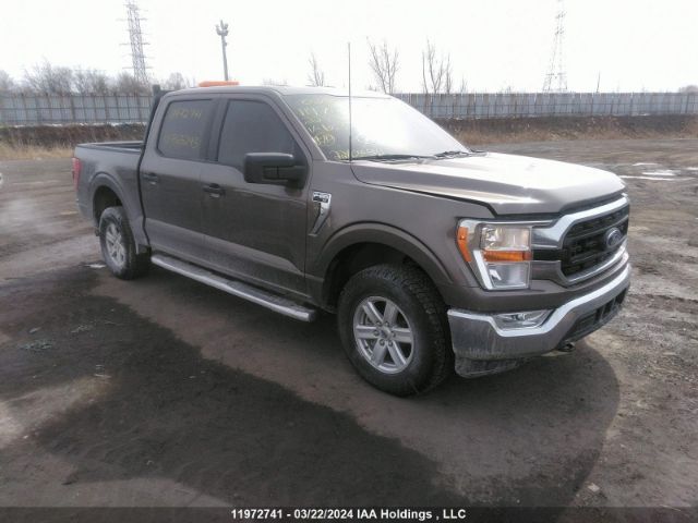 Auction sale of the 2022 Ford F150 Supercrew, vin: 1FTFW1E56NFB63243, lot number: 11972741