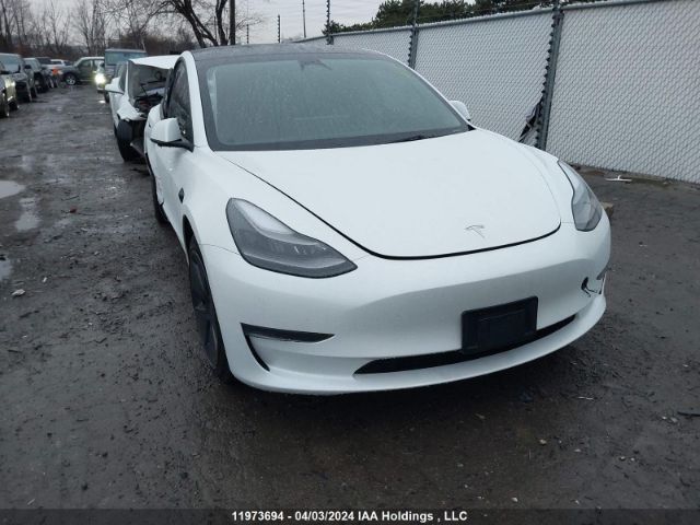 Auction sale of the 2023 Tesla Model 3, vin: 5YJ3E1EA1PF406127, lot number: 11973694