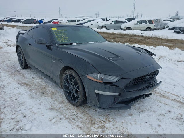 Ford Mustang 2019 1FA6P8TH7K5154917 Image 1