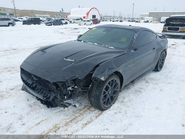 Ford Mustang 2019 1FA6P8TH7K5154917 Image 2