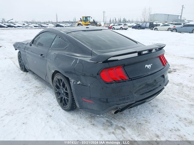 Ford Mustang 2019 1FA6P8TH7K5154917 Image 3
