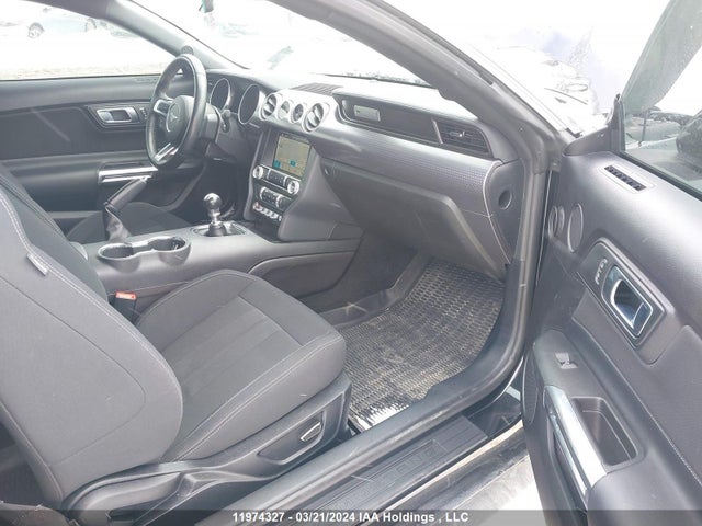 Ford Mustang 2019 1FA6P8TH7K5154917 Image 5
