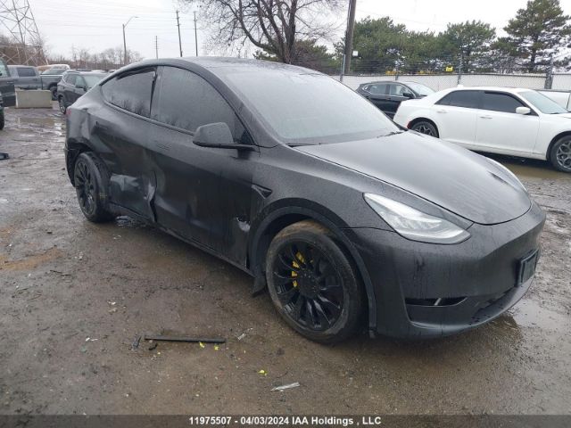 Продажа на аукционе авто 2022 Tesla Model Y, vin: 7SAYGDEE6NF400165, номер лота: 11975507