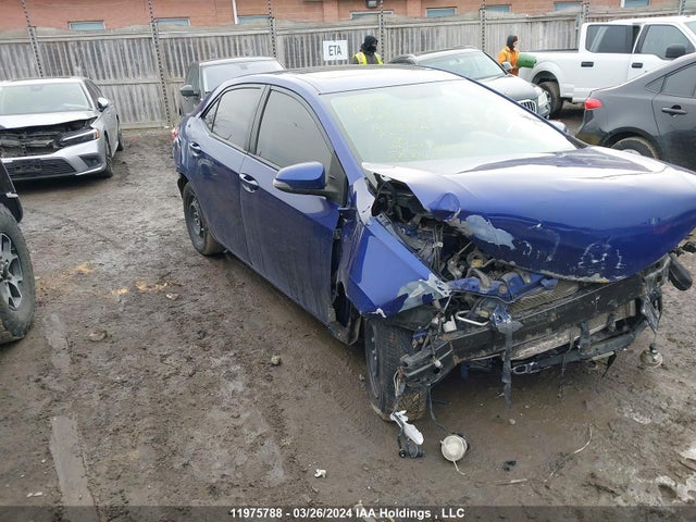 Toyota COROLLA LE 2016 2T1BURHEXGC550307 Image 1