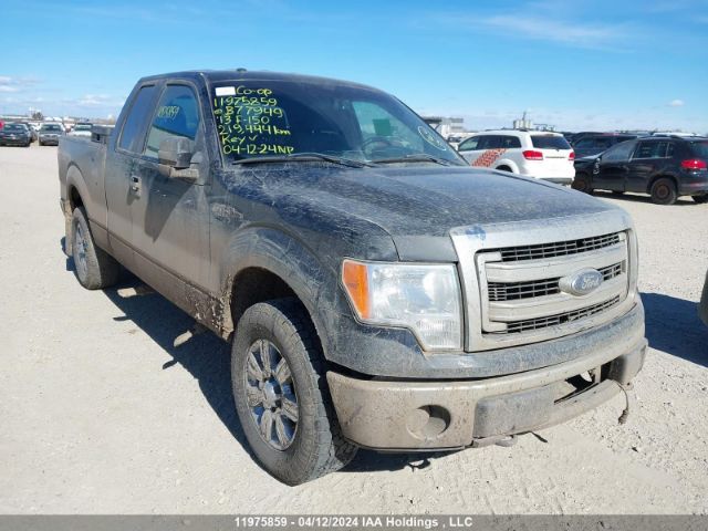 Auction sale of the 2013 Ford F-150 Xlt, vin: 1FTFX1EF0DFB77949, lot number: 11975859