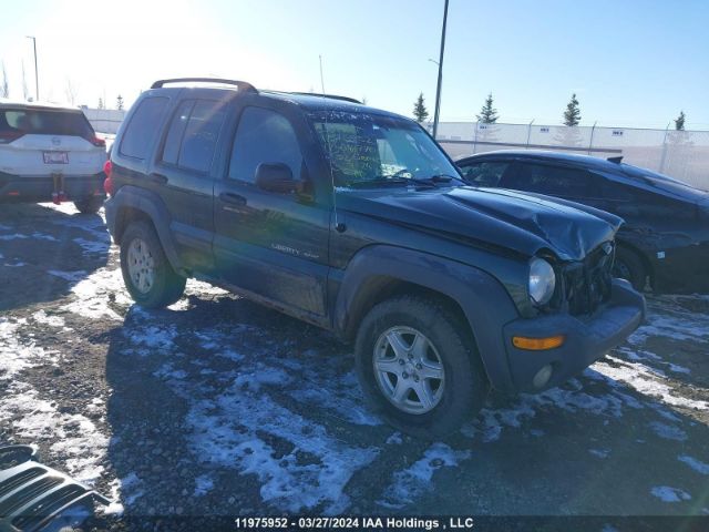 Auction sale of the 2003 Jeep Liberty, vin: 1J4GL48K13W648770, lot number: 11975952