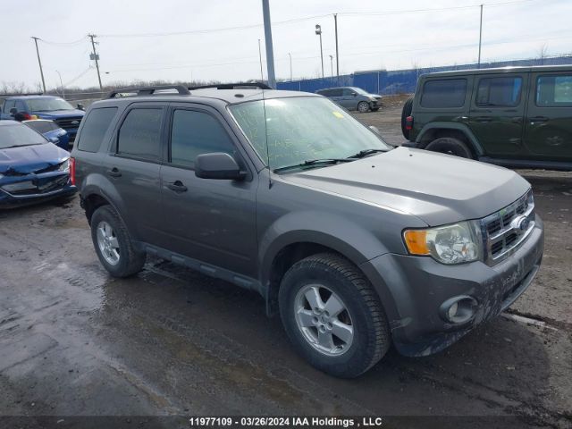Auction sale of the 2012 Ford Escape Xlt, vin: 1FMCU0D77CKA18623, lot number: 11977109