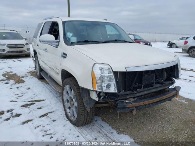 Auction sale of the 2008 Cadillac Escalade, vin: 1GYFK63848R269435, lot number: 11973805