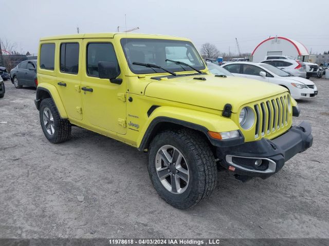 Auction sale of the 2023 Jeep Wrangler Sahara, vin: 1C4HJXEG7PW586685, lot number: 11978618