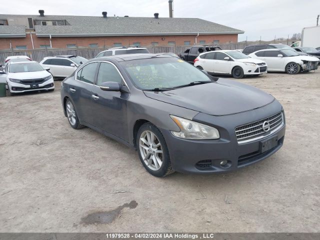 Auction sale of the 2010 Nissan Maxima 3.5 Sv, vin: 1N4AA5AP7AC869016, lot number: 11979528