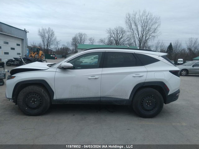 Hyundai Tucson Preferred Awd 2022 KM8JCCAE3NU146119 Image 14