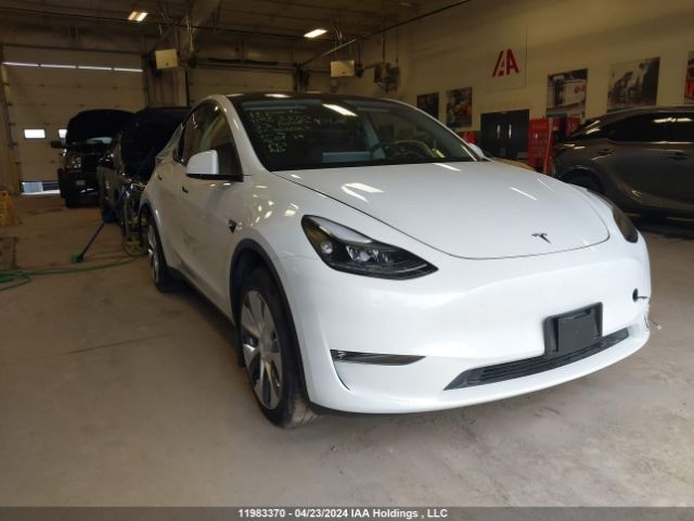 2023 Tesla Model Y მანქანა იყიდება აუქციონზე, vin: LRWYGDEE0PC266022, აუქციონის ნომერი: 11983370