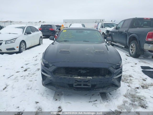 Ford Mustang 2021 1FA6P8TH7M5112492 Image 12