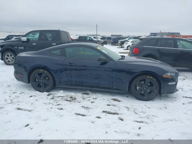 Ford Mustang 2021 1FA6P8TH7M5112492 Image 13