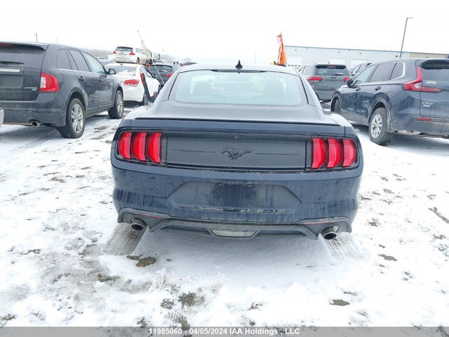 Ford Mustang 2021 1FA6P8TH7M5112492 Image 16