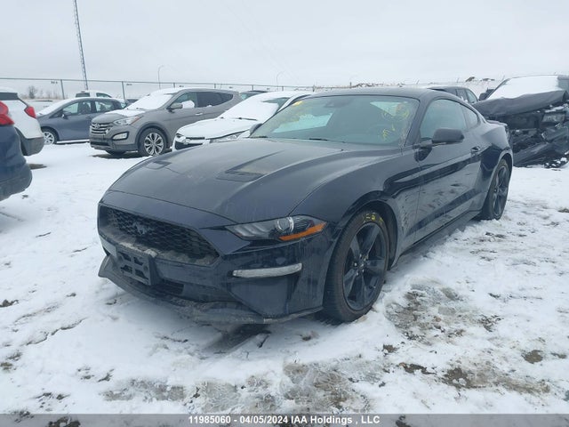 Ford Mustang 2021 1FA6P8TH7M5112492 Image 2