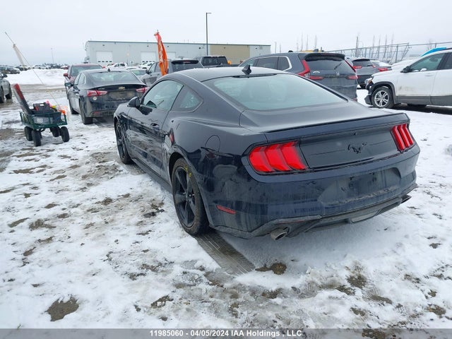 Ford Mustang 2021 1FA6P8TH7M5112492 Image 3