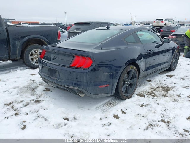 Ford Mustang 2021 1FA6P8TH7M5112492 Image 4