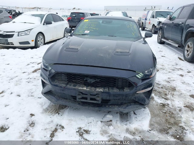 Ford Mustang 2021 1FA6P8TH7M5112492 Image 6