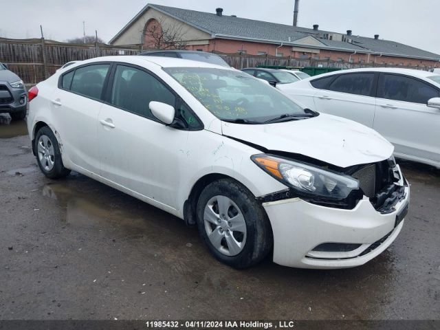 Auction sale of the 2014 Kia Forte, vin: KNAFK4A69E5156561, lot number: 11985432