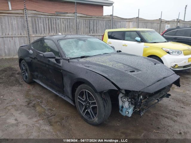 Auction sale of the 2020 Ford Mustang Gt, vin: 1FA6P8CF3L5168149, lot number: 11985604