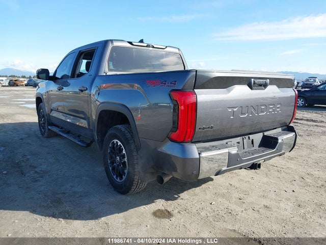 Toyota Tundra Sr 2023 5TFLA5DB1PX115730 Image 3