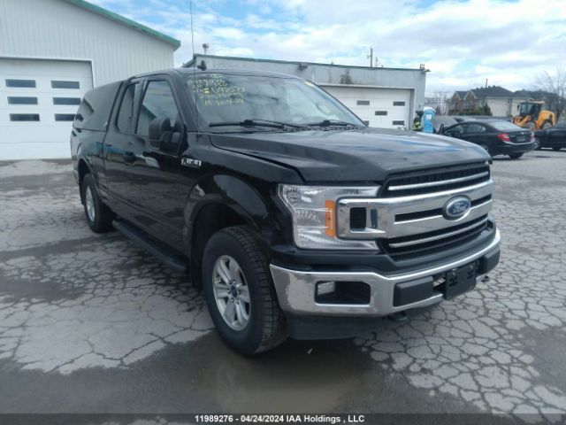 Auction sale of the 2020 Ford F-150 Xlt, vin: 1FTEX1EB6LKD92573, lot number: 11989276