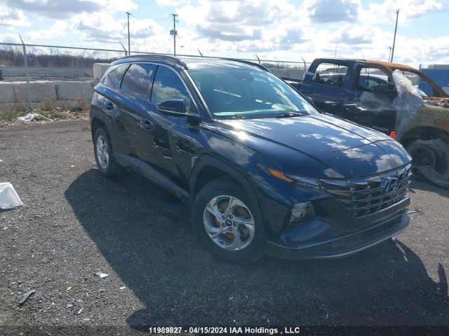 Auction sale of the 2022 Hyundai Tucson Preferred Awd With Trend Package, vin: KM8JCCAEXNU146862, lot number: 11989827