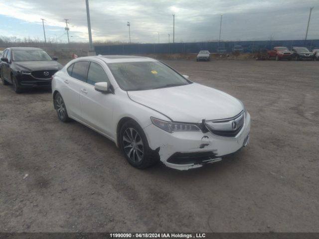 Auction sale of the 2017 Acura Tlx, vin: 19UUB1F53HA800075, lot number: 11990090