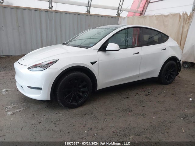 5YJYGDEE1LF027319 Tesla Model Y