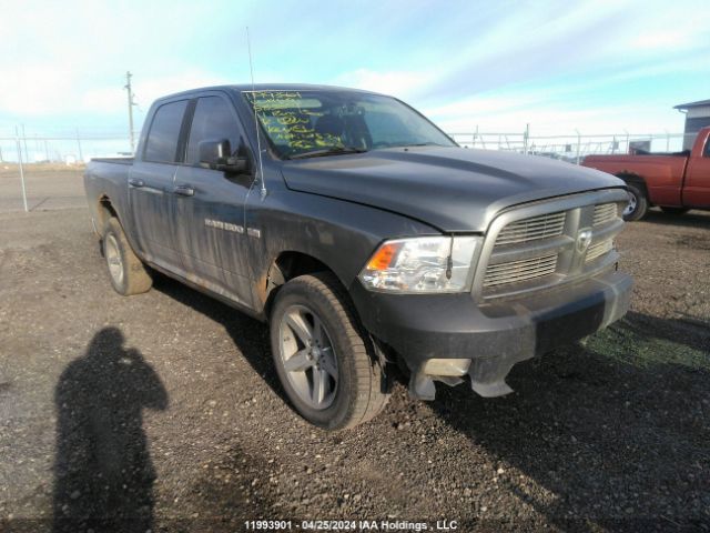 Auction sale of the 2011 Ram Ram 1500 Sport, vin: 1D7RV1CT0BS585891, lot number: 11993901