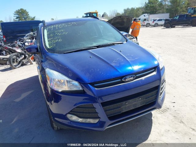 Продажа на аукционе авто 2016 Ford Escape Se, vin: 1FMCU0GX1GUB49214, номер лота: 11996539