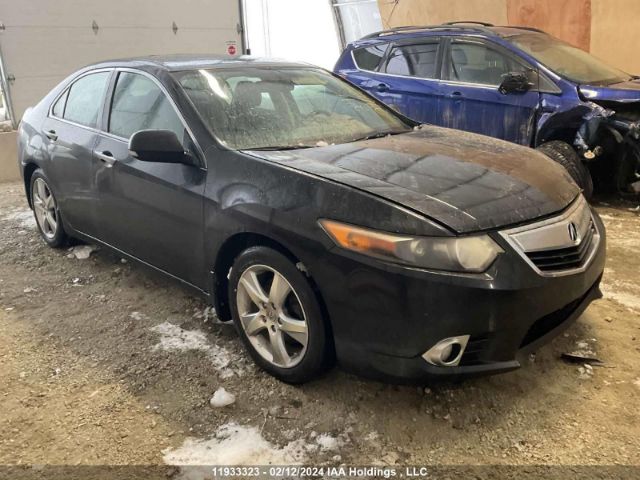 Auction sale of the 2011 Acura Tsx, vin: JH4CU2E68BC800362, lot number: 11933323