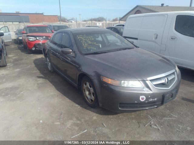 Auction sale of the 2006 Acura Tl, vin: 19UUA66256A801358, lot number: 11967265