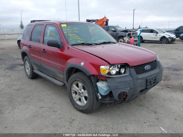 Auction sale of the 2006 Ford Escape, vin: 1FMYU93176KB05594, lot number: 11997720