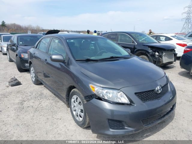 Auction sale of the 2010 Toyota Corolla Ce/s, vin: 2T1BU4EE5AC408977, lot number: 11994973
