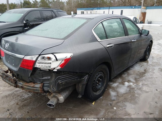 HONDA ACCORD - 4