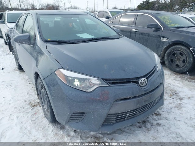 TOYOTA COROLLA - 1
