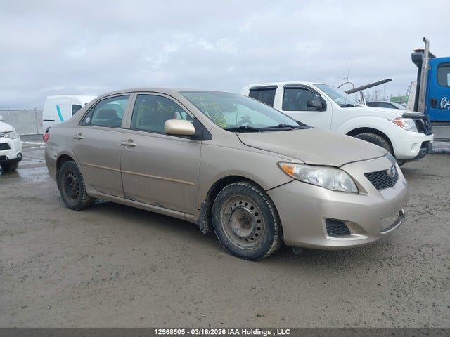 TOYOTA COROLLA - 1