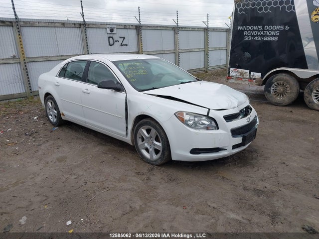 CHEVROLET MALIBU - 1