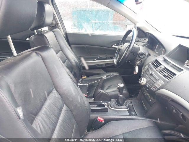 HONDA ACCORD EX-L - 5