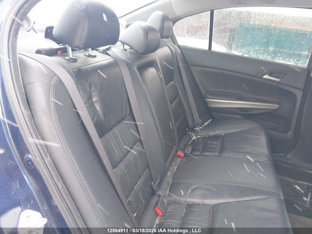 HONDA ACCORD EX-L - 8