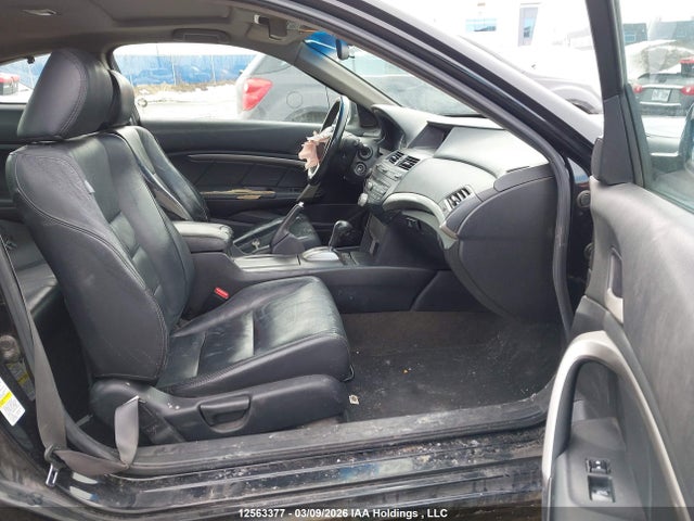 HONDA ACCORD EX-L - 5