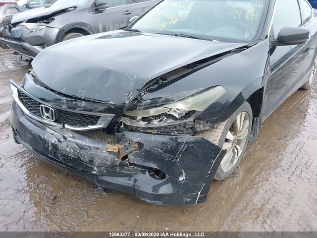 HONDA ACCORD EX-L - 6