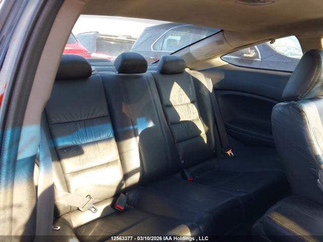 HONDA ACCORD EX-L - 8